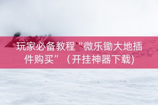 玩家必备教程“微乐锄大地插件购买”（开挂神器下载)