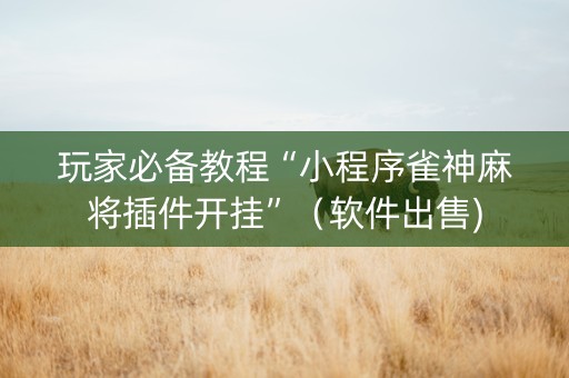 玩家必备教程“小程序雀神麻将插件开挂”（软件出售)