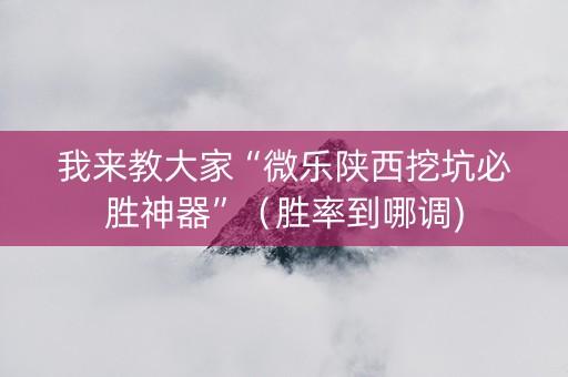 我来教大家“微乐陕西挖坑必胜神器”（胜率到哪调)