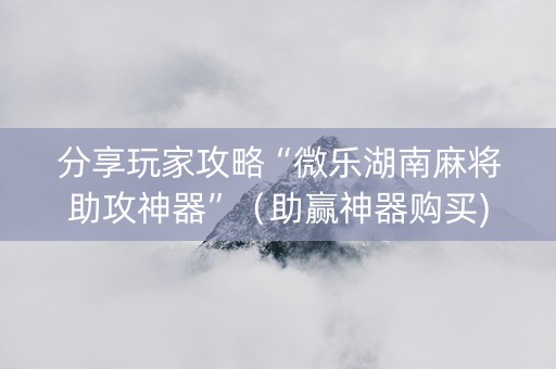 分享玩家攻略“微乐湖南麻将助攻神器”（助赢神器购买)