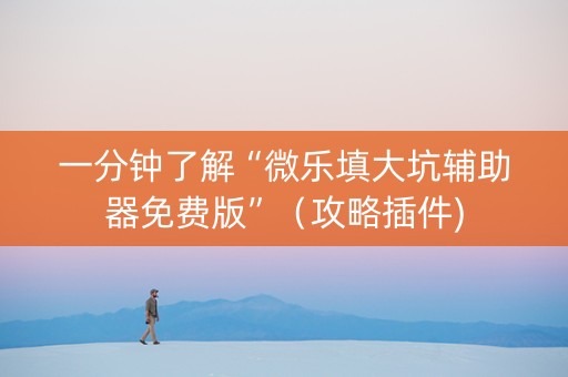 一分钟了解“微乐填大坑辅助器免费版”（攻略插件)