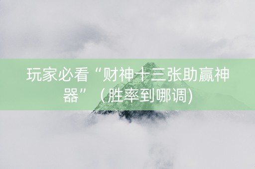 玩家必看“财神十三张助赢神器”（胜率到哪调)