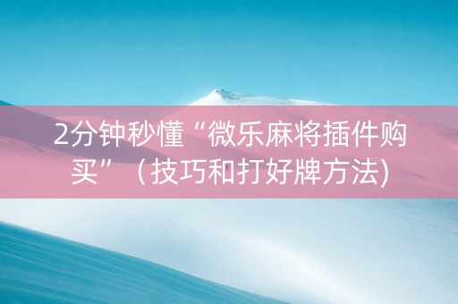 2分钟秒懂“微乐麻将插件购买”（技巧和打好牌方法)