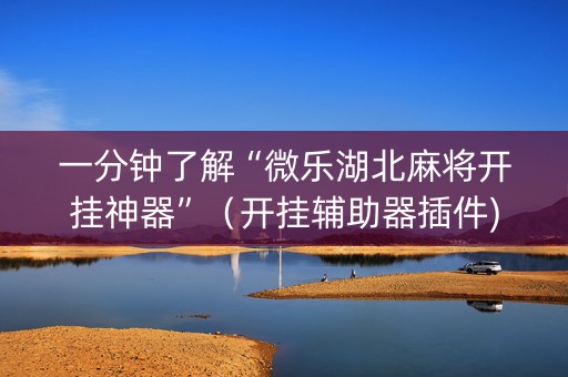 一分钟了解“微乐湖北麻将开挂神器”（开挂辅助器插件)