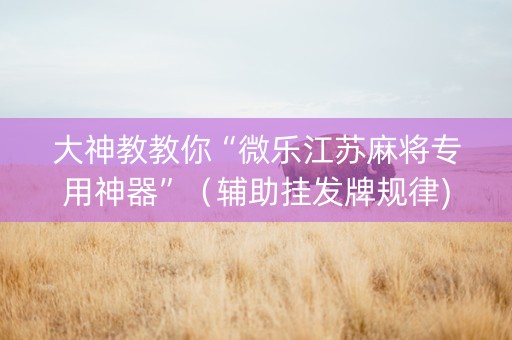 大神教教你“微乐江苏麻将专用神器”（辅助挂发牌规律)