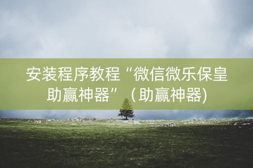 安装程序教程“微信微乐保皇助赢神器”（助赢神器)