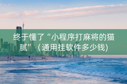 终于懂了“小程序打麻将的猫腻”（通用挂软件多少钱)