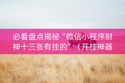 必看盘点揭秘“微信小程序财神十三张有挂的”（开挂神器下载)
