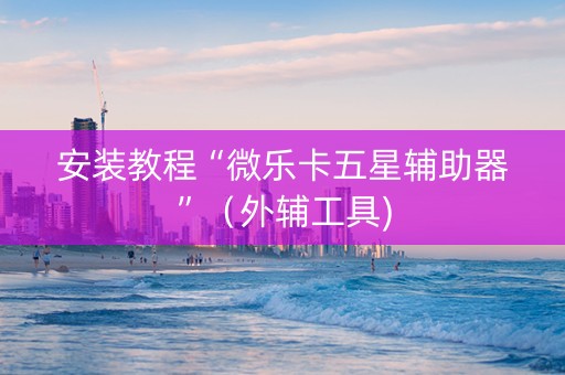 安装教程“微乐卡五星辅助器”（外辅工具)