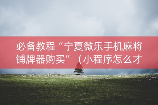 必备教程“宁夏微乐手机麻将铺牌器购买”（小程序怎么才会赢)