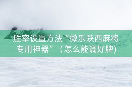 胜率设置方法“微乐陕西麻将专用神器”（怎么能调好牌)