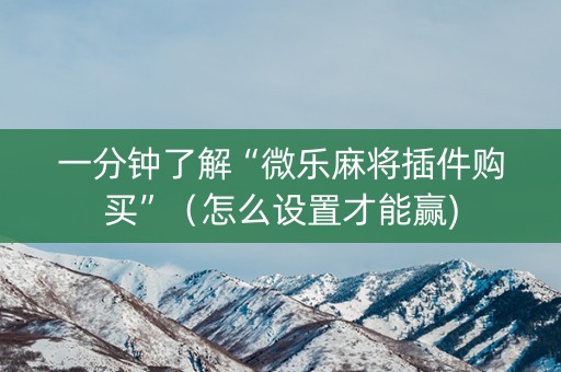 一分钟了解“微乐麻将插件购买”（怎么设置才能赢)