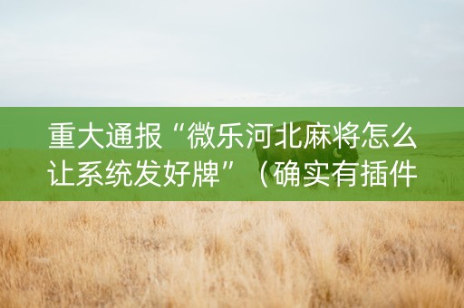 重大通报“微乐河北麻将怎么让系统发好牌”（确实有插件吗)