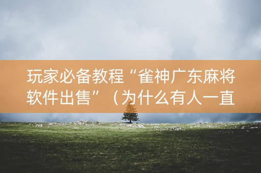 玩家必备教程“雀神广东麻将软件出售”（为什么有人一直赢)