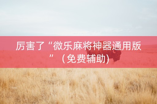 厉害了“微乐麻将神器通用版”（免费辅助)