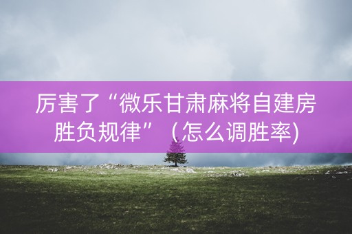 厉害了“微乐甘肃麻将自建房胜负规律”（怎么调胜率)