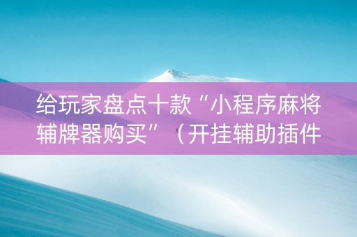 给玩家盘点十款“小程序麻将辅牌器购买”（开挂辅助插件)