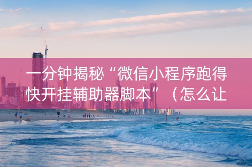 一分钟揭秘“微信小程序跑得快开挂辅助器脚本”（怎么让系统给自己好牌)