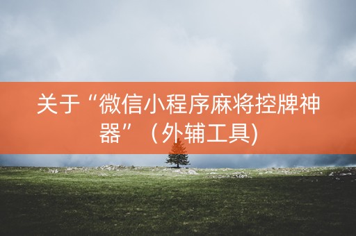 关于“微信小程序麻将控牌神器”（外辅工具)