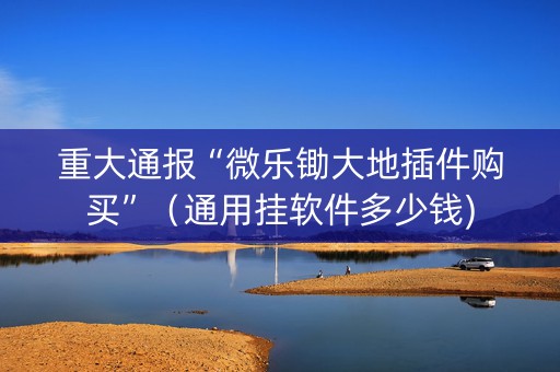 重大通报“微乐锄大地插件购买”（通用挂软件多少钱)