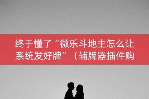 终于懂了“微乐斗地主怎么让系统发好牌”（辅牌器插件购买)