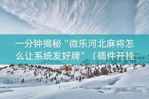 一分钟揭秘“微乐河北麻将怎么让系统发好牌”（插件开挂免费AI)