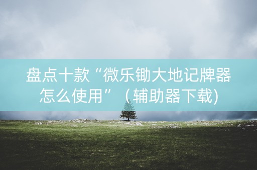 盘点十款“微乐锄大地记牌器怎么使用”（辅助器下载)
