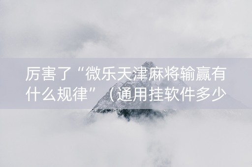 厉害了“微乐天津麻将输赢有什么规律”（通用挂软件多少钱)