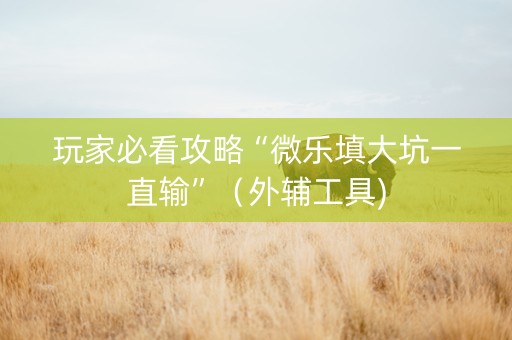 玩家必看攻略“微乐填大坑一直输”（外辅工具)