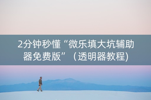 2分钟秒懂“微乐填大坑辅助器免费版”（透明器教程)