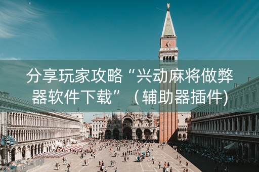 分享玩家攻略“兴动麻将做弊器软件下载”（辅助器插件)