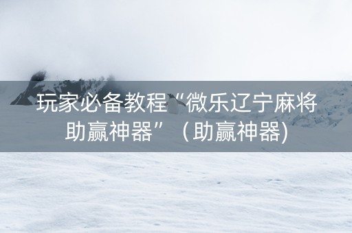 玩家必备教程“微乐辽宁麻将助赢神器”（助赢神器)