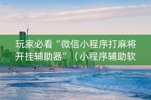 玩家必看“微信小程序打麻将开挂辅助器”（小程序辅助软件)