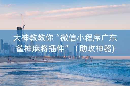 大神教教你“微信小程序广东雀神麻将插件”（助攻神器)