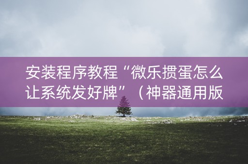 安装程序教程“微乐掼蛋怎么让系统发好牌”（神器通用版)