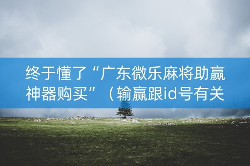 终于懂了“广东微乐麻将助赢神器购买”（输赢跟id号有关系吗)