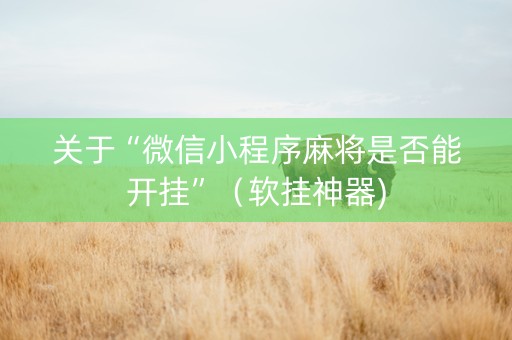 关于“微信小程序麻将是否能开挂”（软挂神器)