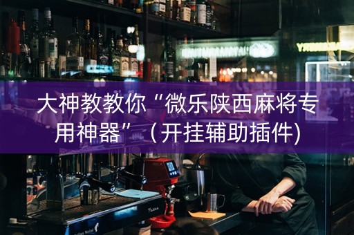大神教教你“微乐陕西麻将专用神器”（开挂辅助插件)