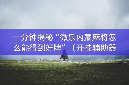 一分钟揭秘“微乐内蒙麻将怎么能得到好牌”（开挂辅助器插件)