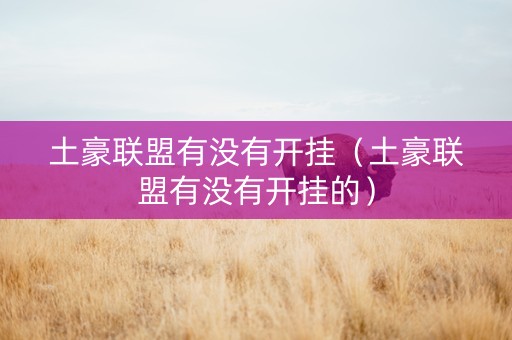 土豪联盟有没有开挂（土豪联盟有没有开挂的）
