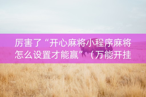 厉害了“开心麻将小程序麻将怎么设置才能赢”（万能开挂器)