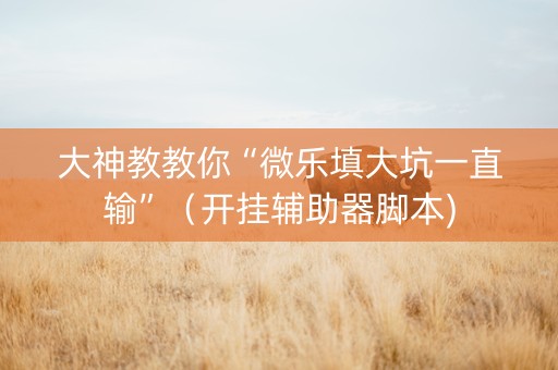 大神教教你“微乐填大坑一直输”（开挂辅助器脚本)