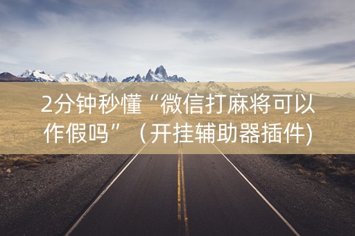 2分钟秒懂“微信打麻将可以作假吗”（开挂辅助器插件)