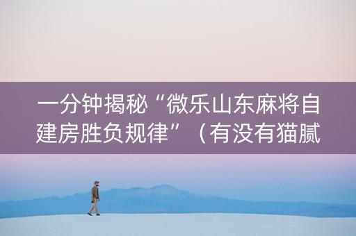 一分钟揭秘“微乐山东麻将自建房胜负规律”（有没有猫腻)