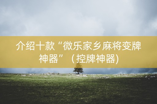 介绍十款“微乐家乡麻将变牌神器”（控牌神器)
