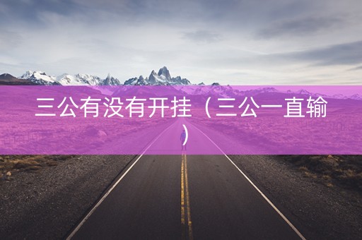 三公有没有开挂（三公一直输）