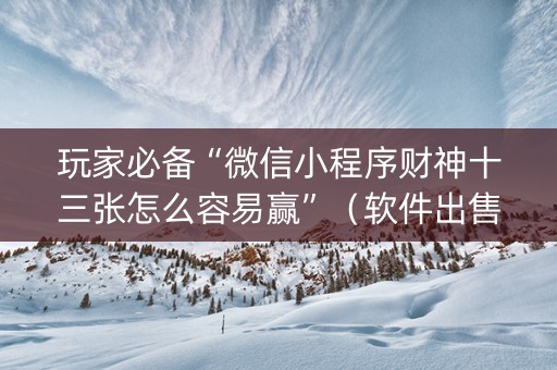 玩家必备“微信小程序财神十三张怎么容易赢”（软件出售)