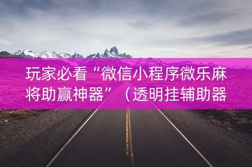 玩家必看“微信小程序微乐麻将助赢神器”（透明挂辅助器)