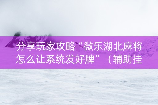 分享玩家攻略“微乐湖北麻将怎么让系统发好牌”（辅助挂发牌规律)