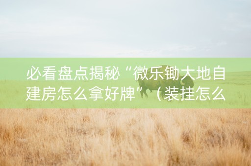 必看盘点揭秘“微乐锄大地自建房怎么拿好牌”（装挂怎么安装)